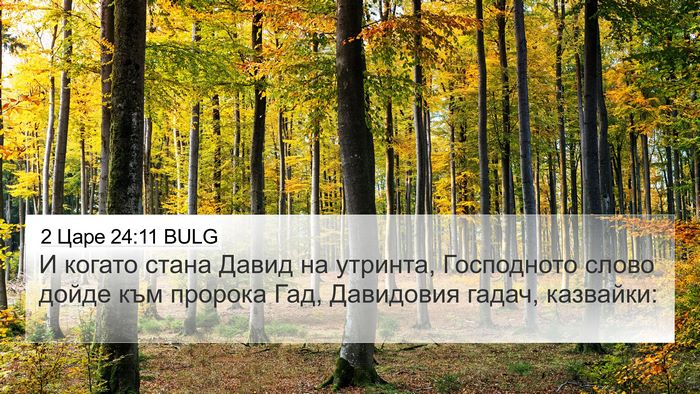 2 Царе 24:11 BULG Bible Verse Image