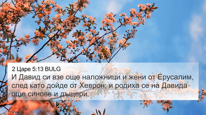 2 Царе 5:13 BULG Bible Verse Image