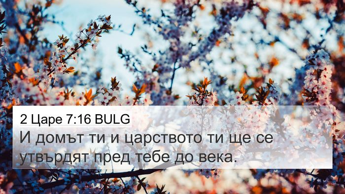 2 Царе 7:16 BULG Bible Verse Image