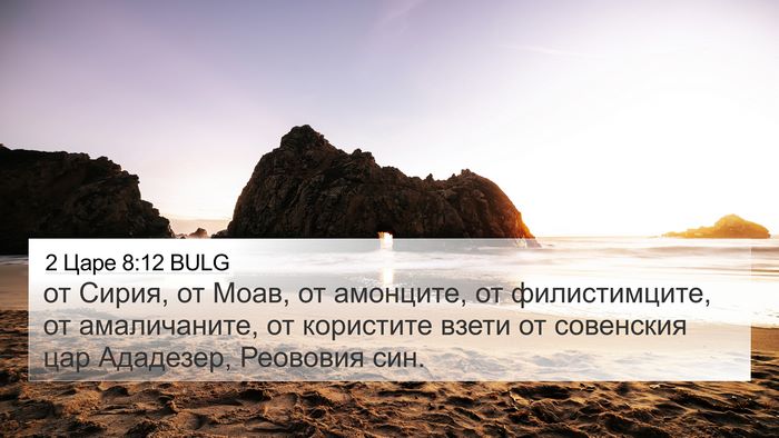 2 Царе 8:12 BULG Bible Verse Image