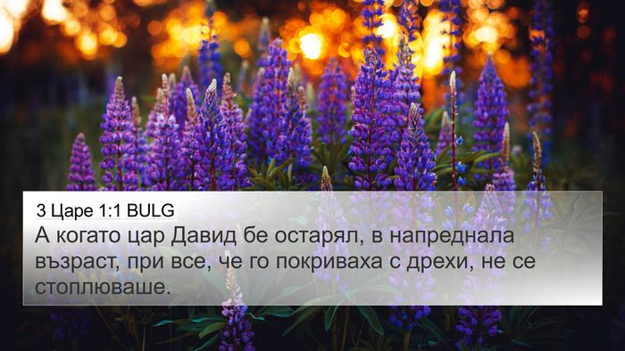 3 Царе 1:1 BULG 4K Wallpaper - А когато цар Давид бе - 4K Wallpaper Bible Verse
