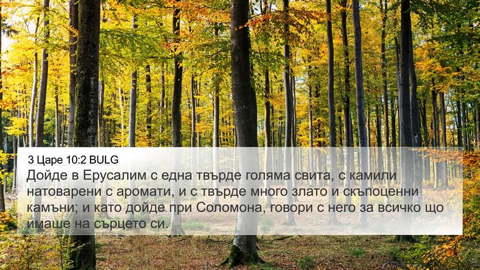 3 Царе 10:2 BULG Bible Verse Image
