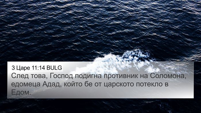 3 Царе 11:14 BULG Bible Verse Image