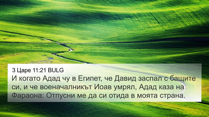 3 Царе 11:21 BULG Bible Verse Image