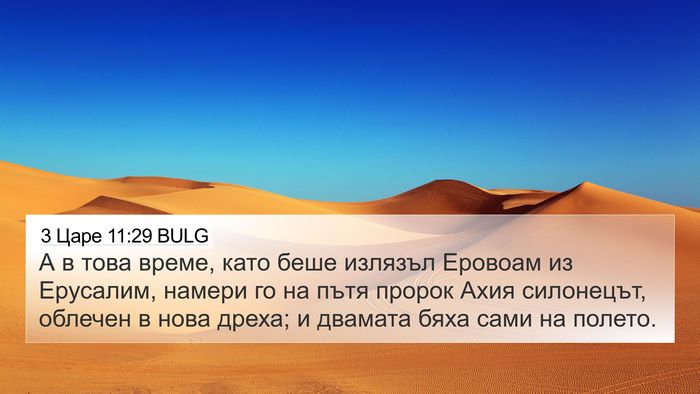3 Царе 11:29 BULG Bible Verse Image