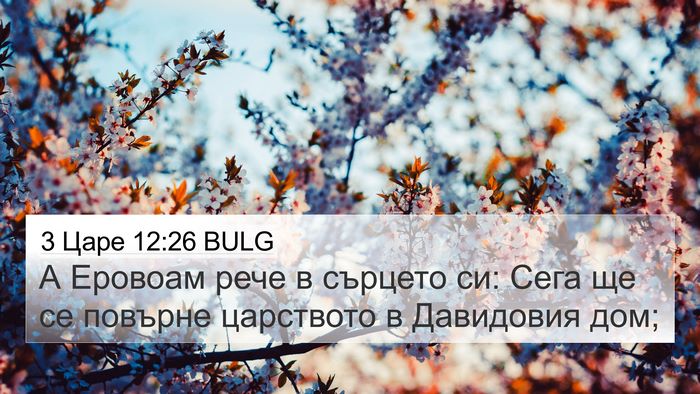 3 Царе 12:26 BULG Bible Verse Image