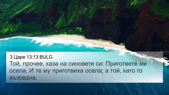 3 Царе 13:13 BULG 4K Wallpaper - Той, прочее, каза на - 4K Wallpaper Bible Verse