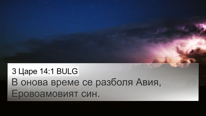 3 Царе 14:1 BULG Bible Verse Image