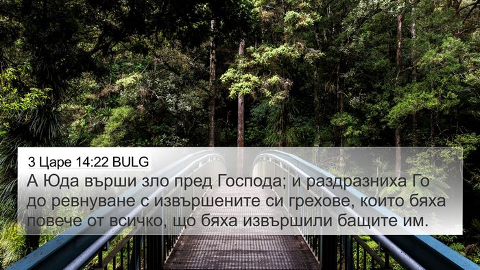 3 Царе 14:22 BULG Bible Verse Image