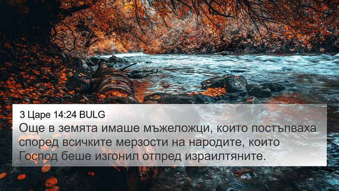 3 Царе 14:24 BULG Bible Verse Image