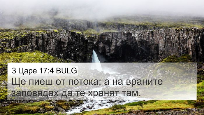 3 Царе 17:4 BULG Bible Verse Image