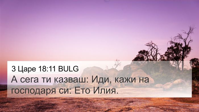 3 Царе 18:11 BULG 4K Wallpaper - А сега ти казваш: Иди, кажи - 4K Wallpaper Bible Verse