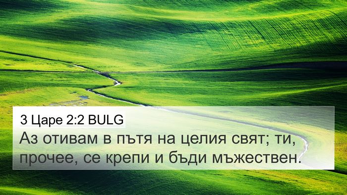 3 Царе 2:2 BULG Bible Verse Image