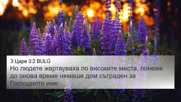 3 Царе 3:2 BULG Bible Verse Image