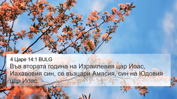 4 Царе 14:1 BULG 4K Wallpaper - Във втората година на - 4K Wallpaper Bible Verse