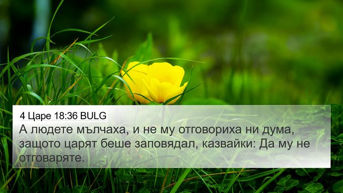 4 Царе 18:36 BULG Bible Verse Image