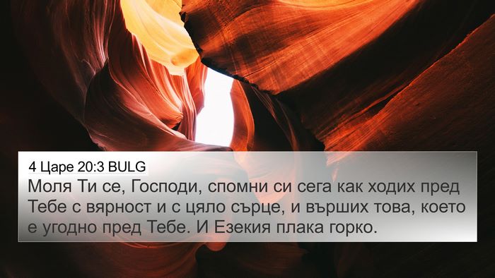 4 Царе 20:3 BULG Bible Verse Image