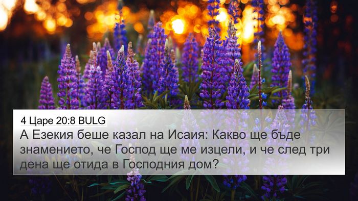 4 Царе 20:8 BULG Bible Verse Image