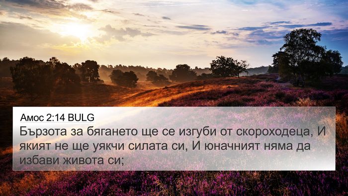 Амос 2:14 BULG Bible Verse Image