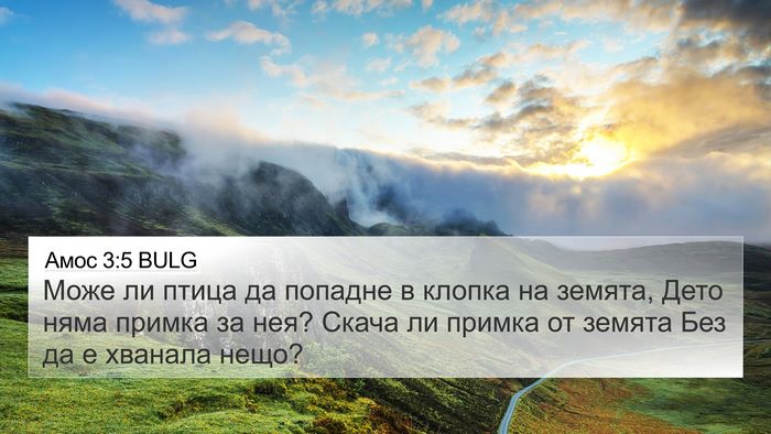 Амос 3:5 BULG 4K Wallpaper - Може ли птица да попадне в - 4K Wallpaper Bible Verse