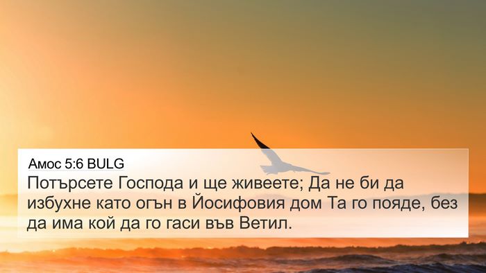 Амос 5:6 BULG Bible Verse Image