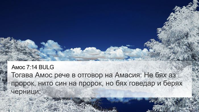 Амос 7:14 BULG Bible Verse Image