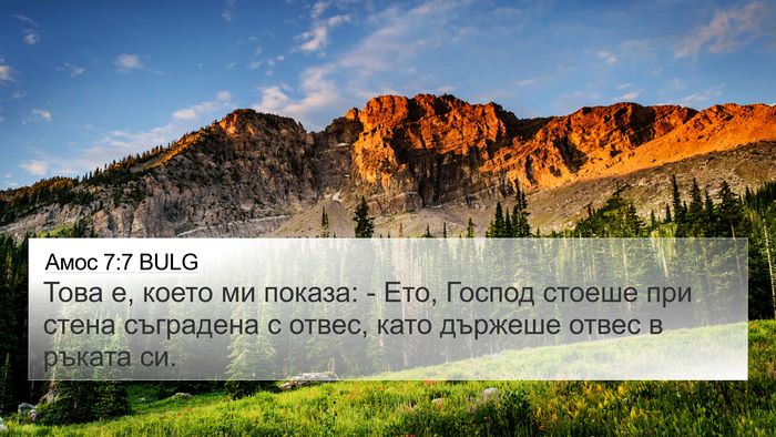 Амос 7:7 BULG Bible Verse Image
