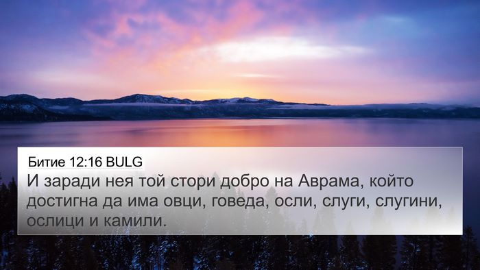 Битие 12:16 BULG Bible Verse Image