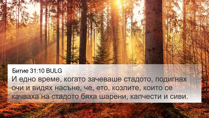 Битие 31:10 BULG Bible Verse Image