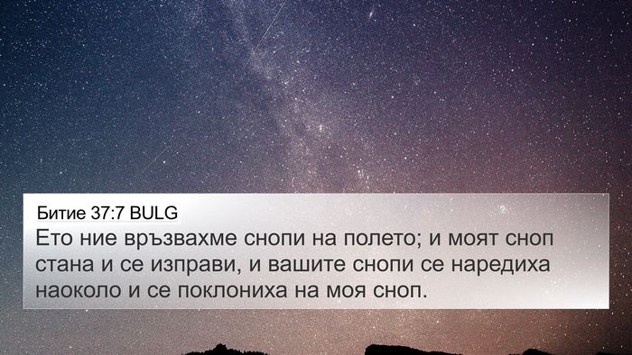 Битие 37:7 BULG 4K Wallpaper - Ето ние връзвахме снопи на - 4K Wallpaper Bible Verse