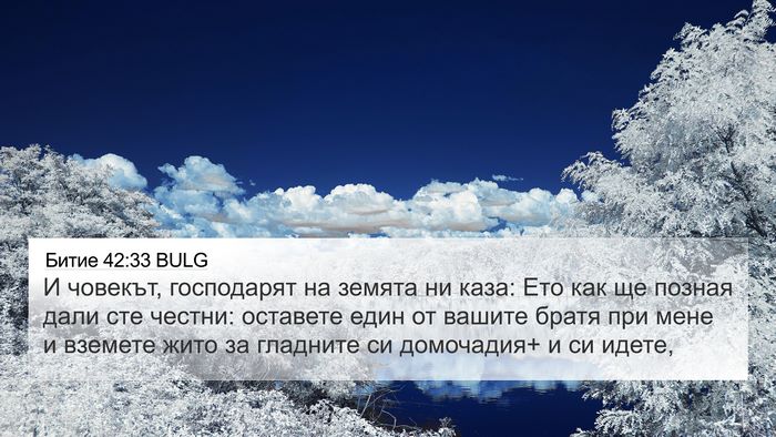 Битие 42:33 BULG Bible Verse Image