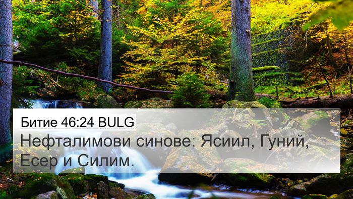 Битие 46:24 BULG Bible Verse Image