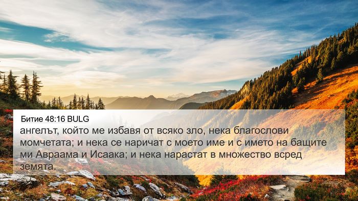 Битие 48:16 BULG Bible Verse Image