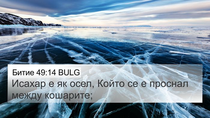 Битие 49:14 BULG Bible Verse Image