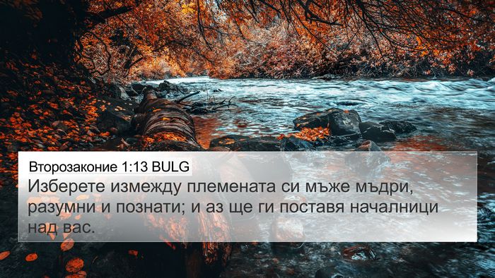 Второзаконие 1:13 BULG Bible Verse Image