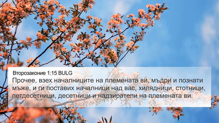 Второзаконие 1:15 BULG Bible Verse Image