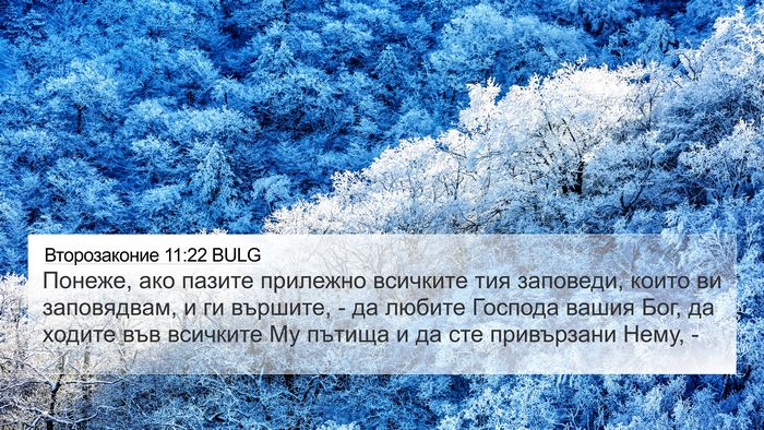 Второзаконие 11:22 BULG Bible Verse Image