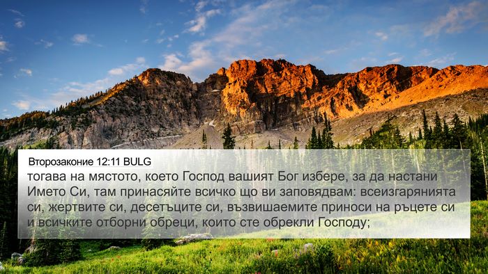 Второзаконие 12:11 BULG Bible Verse Image