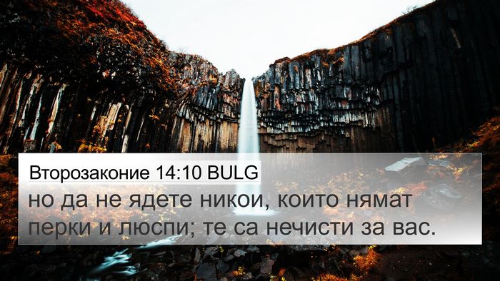 Второзаконие 14:10 BULG Bible Verse Image