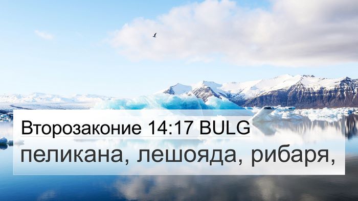 Второзаконие 14:17 BULG 4K Wallpaper - пеликана, лешояда, - 4K Wallpaper Bible Verse