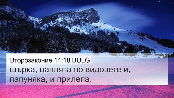 Второзаконие 14:18 BULG 4K Wallpaper - щърка, цаплята по видовете - 4K Wallpaper Bible Verse