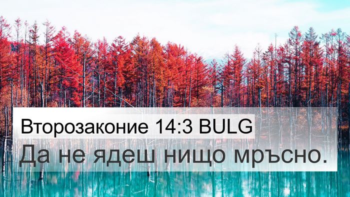 Второзаконие 14:3 BULG 4K Wallpaper - Да не ядеш нищо - 4K Wallpaper Bible Verse