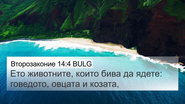 Второзаконие 14:4 BULG 4K Wallpaper - Ето животните, които бива - 4K Wallpaper Bible Verse