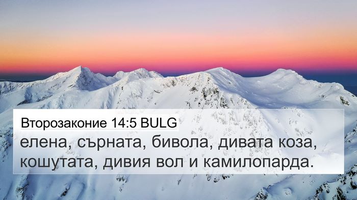 Второзаконие 14:5 BULG 4K Wallpaper - елена, сърната, бивола, - 4K Wallpaper Bible Verse