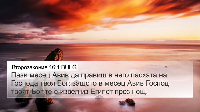 Второзаконие 16:1 BULG Bible Verse Image
