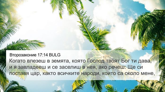 Второзаконие 17:14 BULG Bible Verse Image