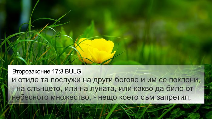 Второзаконие 17:3 BULG Bible Verse Image