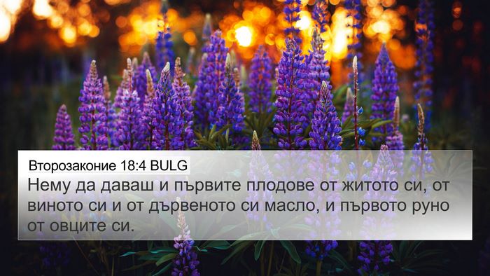Второзаконие 18:4 BULG Bible Verse Image