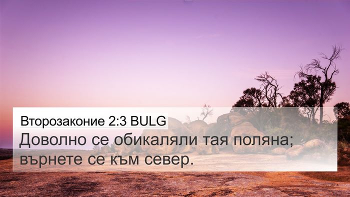 Второзаконие 2:3 BULG 4K Wallpaper - Доволно се обикаляли тая - 4K Wallpaper Bible Verse