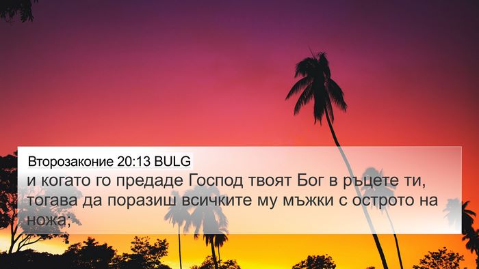 Второзаконие 20:13 BULG Bible Verse Image